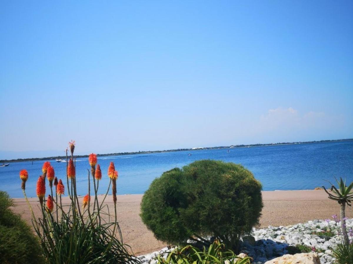 Appartement 4 Pers - Le Barcares - Piscine, Parkings, Terrains De Sport, Fitness - Fr-1-195-25 Luaran gambar